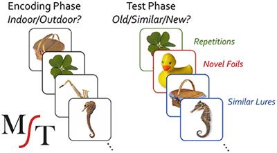 Playing Minecraft Improves Hippocampal-Associated Memory for Details in Middle Aged Adults